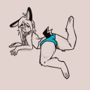 nonbinny-bunny avatar