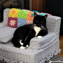 nondescriptrogue avatar