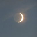 none-of-it-was-accidental avatar