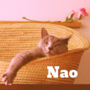 nonouinao1110 avatar