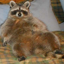 nonsenseandinsanity avatar