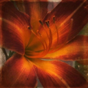 noodlesoup-10 avatar