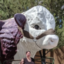 norareedposts avatar