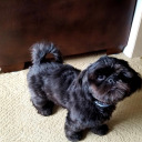 northernecdreamer avatar