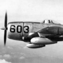 not-faa-approved avatar