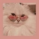 not-optimistic-petrol-biscuit avatar