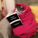 not-that-manic-pixie-dream-girl avatar