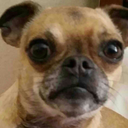 not2daybish-blog avatar