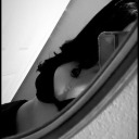 notacluelessblonde00 avatar