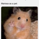 notanordinaryprincess95 avatar