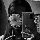 notefromsunflower avatar