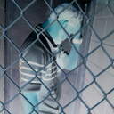 notenoughgenius avatar