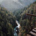 notes-from-the-abyss avatar