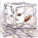 notfinancialadvice avatar