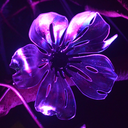 nothidingishard avatar