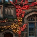 nothingxxgood avatar