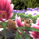 notnappingnakedongor avatar