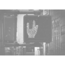 notoriousdreamer avatar