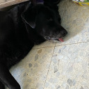 nottoofictional avatar