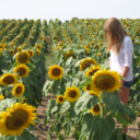 nova-king-way avatar