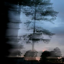 novemberrain-all avatar