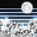 nowandevermore avatar