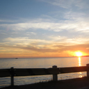 nowordscomeclose avatar