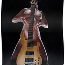 nudeandguitars-blog avatar