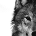 nudefantasyworld avatar