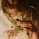 nuitdenovembre avatar