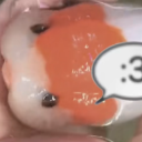 numberonebirdtimemachine avatar