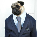 nutellothepug avatar