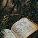 nuthin-gold-can-stay avatar