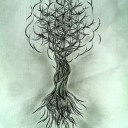 nuvocoven0065 avatar