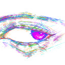 nxiouslynxious avatar