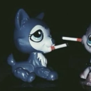 nyaifyz avatar