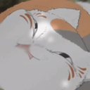 nyankohasablog avatar
