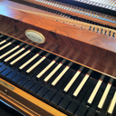 nyctophile-pianist avatar