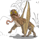 o-craven-canto avatar