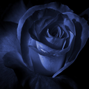 o-radiant-roses-o avatar