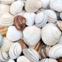 oasis-for3v3r avatar