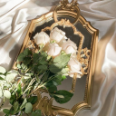 oatmilkslytherin avatar