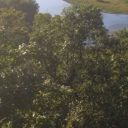 obadiah1966-blog avatar