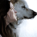 obscure-dreams1 avatar