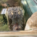 obsessedpuzzlepart avatar