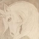 obsidian-winter avatar