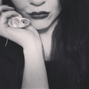 obviouslynotadeer avatar