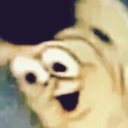 occasionalshitposting avatar