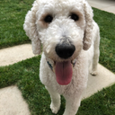 occipitalspoon avatar