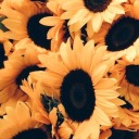 oceanineituoiocchi avatar